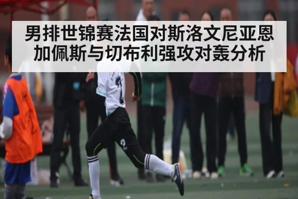 男排世锦赛法国对斯洛文尼亚恩加佩斯与切布利强攻对轰分析
